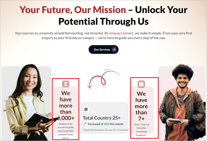 Hero Section issue example